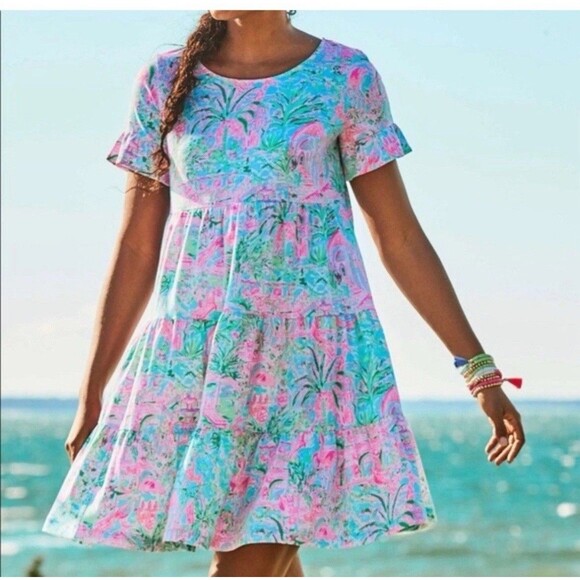 Lilly Pulitzer Dresses & Skirts - Lilly Pulitzer  XXL Jodee Swing Flounce Dress Spotted On Worth rare hard To Find